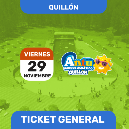 Viernes 29 de Noviembre